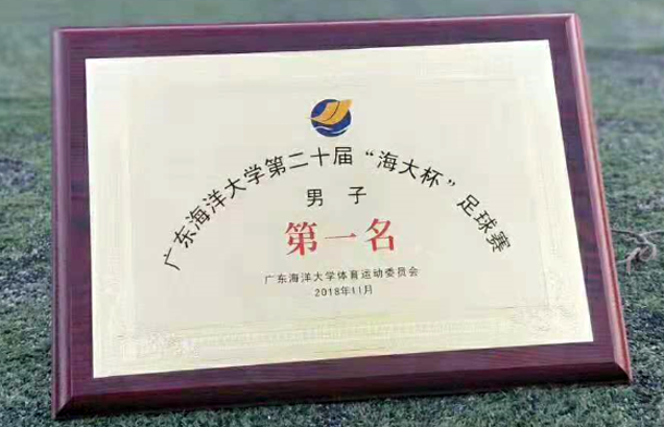 奖牌 - 副本.png 奖牌 - 副本.png